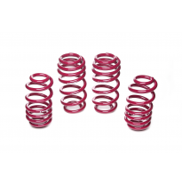 Muelles rebajados Vogtland Audi  A6 4F (C6) AÑO: 01.2005 - 03.2011 REBAJA: 40 / 40