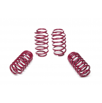 Muelles rebajados Vogtland Audi  TT 8J AÑO: 04.2006 - 09.2014 REBAJA: 30 / 30