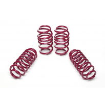 Muelles rebajados Vogtland Audi  A4 8K (B8), S4 AÑO: 10.2007 -  REBAJA: 30 / 30