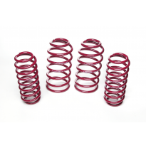 Muelles rebajados Vogtland Audi  TT 8N AÑO: 10.1998 - 04.2006 REBAJA: 35 / 35