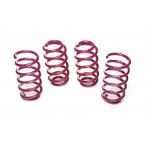 Muelles rebajados Vogtland VW  Passat 3B/3BG (B5) AÑO: 03.1997 - 08.2005 REBAJA: 35 / 35