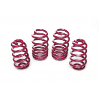 Muelles rebajados Vogtland Audi  A4 8E (B6/7) AÑO: 10.2001 - 03.2008 REBAJA: 35 / 35