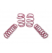 Muelles rebajados Vogtland BMW  5er, E39 5/D AÑO: 04.1996 - 06.2003 REBAJA: 30 / 30