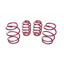 Muelles rebajados Vogtland BMW  3er, E46 346K AÑO: 06.2001 - 12.2004 REBAJA: 40 / 25