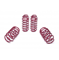 Muelles rebajados Vogtland VW  Beetle 16 AÑO: 11.2011 -  REBAJA: 30 / 30