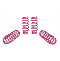 Muelles rebajados Vogtland BMW  5er, G30 G5L AÑO: 02.2017 -  REBAJA: 30 / 30