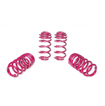 Muelles rebajados Vogtland Audi  A5 F5 B9 (B8, B81) AÑO: 08.2016 -  REBAJA: 30 / 30