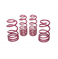 Muelles rebajados Vogtland Ford  Mustang S197 Shelby AÑO: 2007 - 2014 REBAJA: 30 / 30