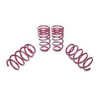 Muelles rebajados Vogtland Opel  Corsa D, S-D AÑO: 06.2006 -  REBAJA: 30 / 30