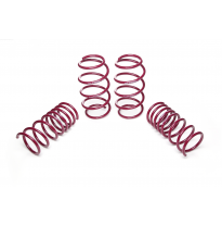 Muelles rebajados Vogtland Fiat  500 312 AÑO: 01.2011 -  REBAJA: 25 / 35