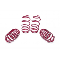 Muelles rebajados Vogtland Cadillac  ATS  AÑO: 2012 -  REBAJA: 25 / 30