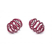 Muelles rebajados Vogtland VW  T4  AÑO: 1991 - 03.2003 REBAJA: 40 / 40