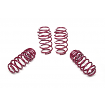 Muelles rebajados Vogtland VW  Eos 1F AÑO: 01.2006 -  REBAJA: 35 / 35