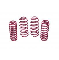 Muelles rebajados Vogtland VW  Golf IV 1J AÑO: 04.1999 - 06.2006 REBAJA: 40 / 40