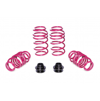 Kit muelles Ajustable Vogtland Seat  Leon KL, ST AÑO: 04.2020 -  REBAJA: 40 / 30 - 55