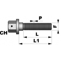 Tornillo Plano M12x1.25 L55mm C17