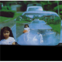 Lente Gran Angular 255x197 Mm.