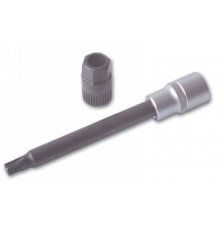 Llave Para Altenador (Bosch)