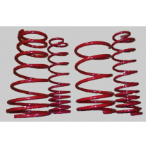 Muelles On1 - Seat Ibiza 1,9tdi  Tipo 6l   Año 04/2002-   Bajan 30mm