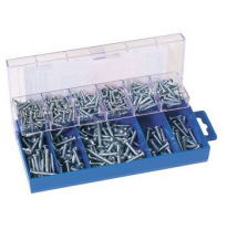 Surtido De Tornillos Para Chapa 305pzs