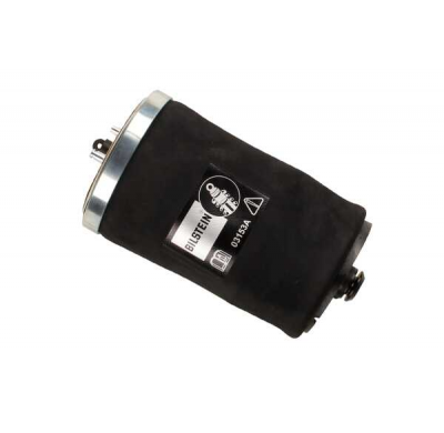 Muelle Aire Trasero Izquierdo Bilstein B3 BMW E53;HL;B3AM  40-221601
