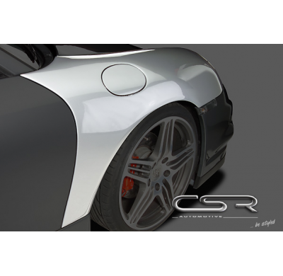 ALETA LATERAL FIBERFLEX Porsche 986 AÑO 1996-2004  Boxster