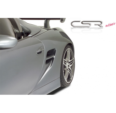 ALETA LATERAL FIBRA VIDRIO Porsche  986 AÑO 1996-2004  Boxster