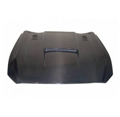 Capó Carbono Ford Mustang 2017 Look Gt-350-R - Fibra De Carbono