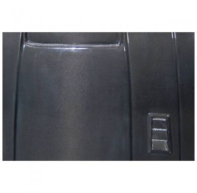 Capó Carbono Ford Mustang 2017 Look Gt-350-R - Fibra De Carbono