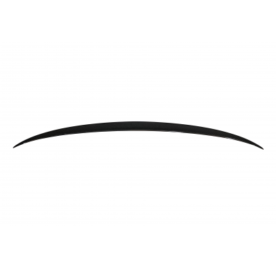 Alerón BMW F10 10-16 M5 Carbono Fibra de Carbono