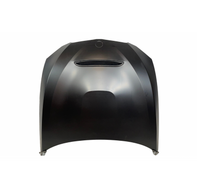 Capó BMW E92 / E93 10-13 LCI Look M3 GTR Metal Metal