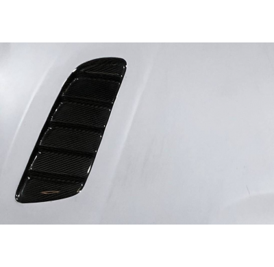 Capó Fibra BMW F20/F21 2012-2019  /  F22/F23 2014+ / F87 Look M3 Con Toma Look Carbono Fibra de vidrio