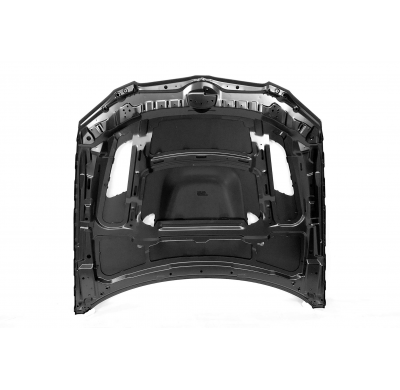 Capó BMW E92 / E93 10-13 LCI Look M3 GTR Metal Metal