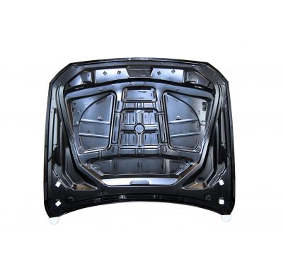 Capó BMW F10 / F11 10-16 Aluminio Metal