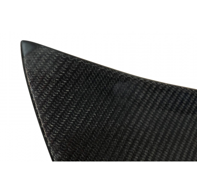 Portón Carbono BMW E46 99-05 2P/ E46 Look M3 CSL Fibra de Carbono