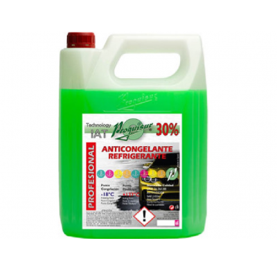 Anticongelante 30% Verde (Garrafa 5 Litros)
