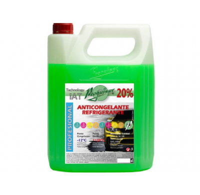 Anticongelante 20% Verde 5 L