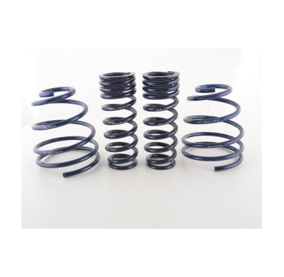 Muelles Deportivos Porsche 911 Turbo (996) Va/Ha Ca. 30 Mm Fk Automotive