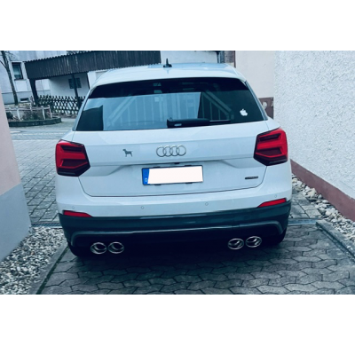 Salida final del silenciador Audi Q2 derecha/izquierda - 2x115x85 tipo 32 r Fox exhaust