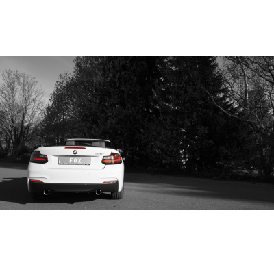 Escape FOX BMW F23 - 220i Cabrio escape final cross exit duplex - 1x90 type 12 duplex