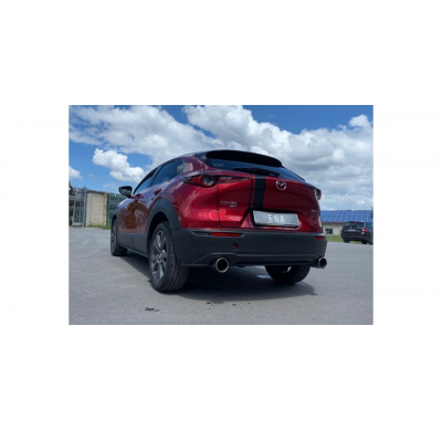 Escape trasero FOX CX30 X180 AT AWD - 1x114 tipo 12 derecha / izquierda