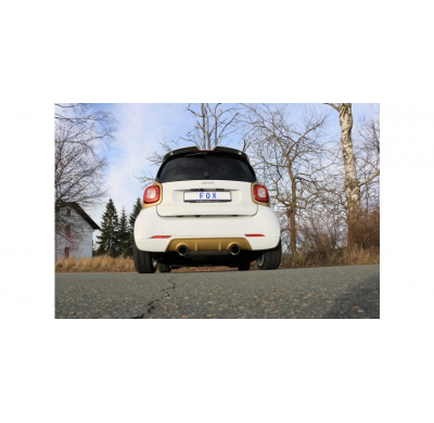 Escape FOX Smart Forfour 453 with Brabus bumper Escape Final Duplex - 1x100 Typ 25 dch/izq