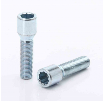 Juego De 10 Tornillos Estrella Plata 45mm 14x1,5 + Llave Japan Racing