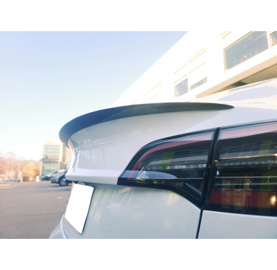 Alerón de labios Tesla Model 3 Motordrome