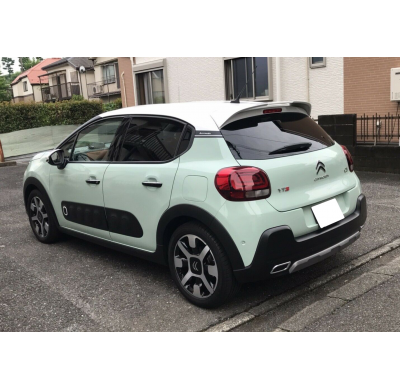 Alerón de techo Citroën C3 Mk3 (2017-) Motordrome