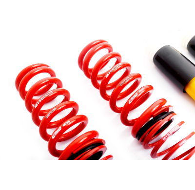 Kit roscado MTS TECHNIK Sport Gold BMW 3 Touring (E91)  Año: 12/04 - 12/12 Con TUV  SIN Copelas parte delantera - SIN Copelas pa