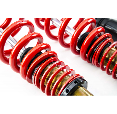 Kit roscado MTS TECHNIK Street Gold Porsche MACAN (95B)  Año: 02/14 - Sin TUV  SIN Copelas parte delantera - SIN Copelas parte t