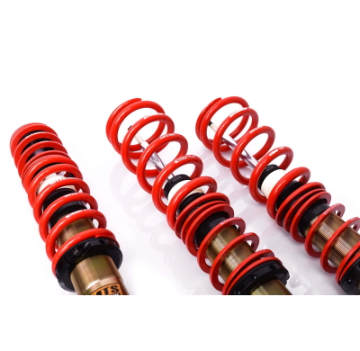 Kit roscado MTS TECHNIK Street Gold BMW 5 (E60)  Año: 07/03 - 03/10 Con TUV  SIN Copelas parte delantera - SIN Copelas parte tra