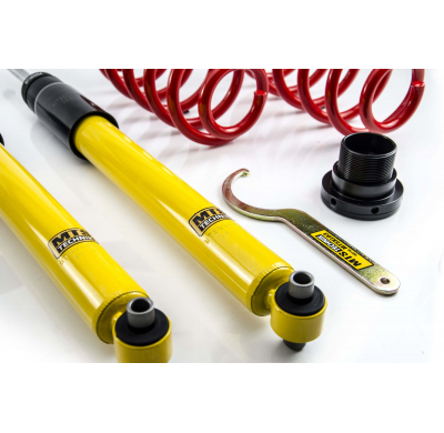 Kit roscado MTS TECHNIK Street Gold Cupra FORMENTOR (KM)  Año: 07/20 - Sin TUV  SIN Copelas parte delantera - SIN Copelas parte