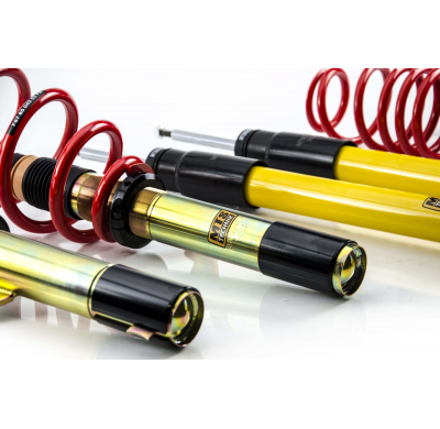 Kit roscado MTS TECHNIK Street Gold Cupra FORMENTOR (KM)  Año: 07/20 - Sin TUV  SIN Copelas parte delantera - SIN Copelas parte